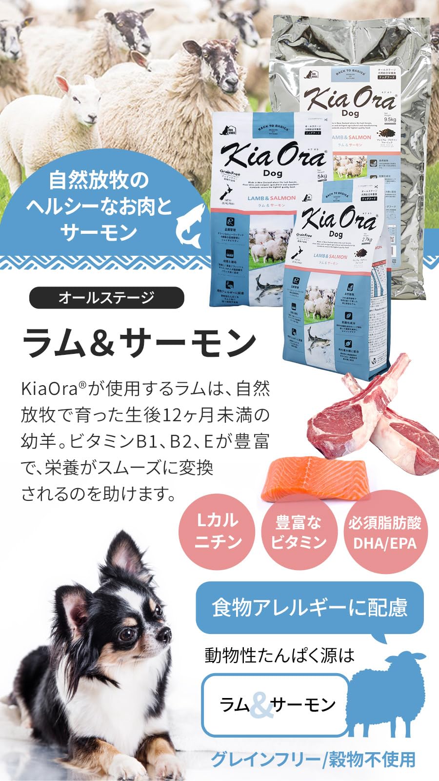 Kia Ora（キア オラ）　ドッグフード　ラム＆サーモン　5kg キアオラ ドッグフード ラム&サーモン 【送料無料】｜みんなのペット